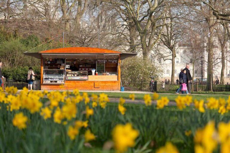 Dubai Kiosk License Essential Application Insights