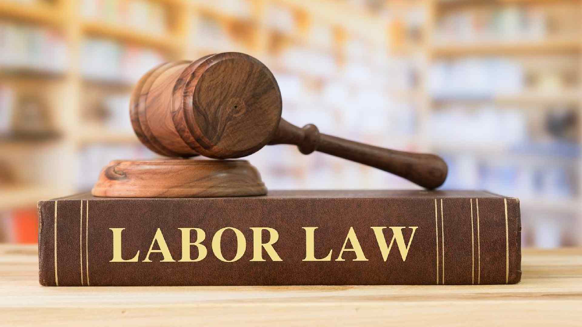 uae labour law 2023