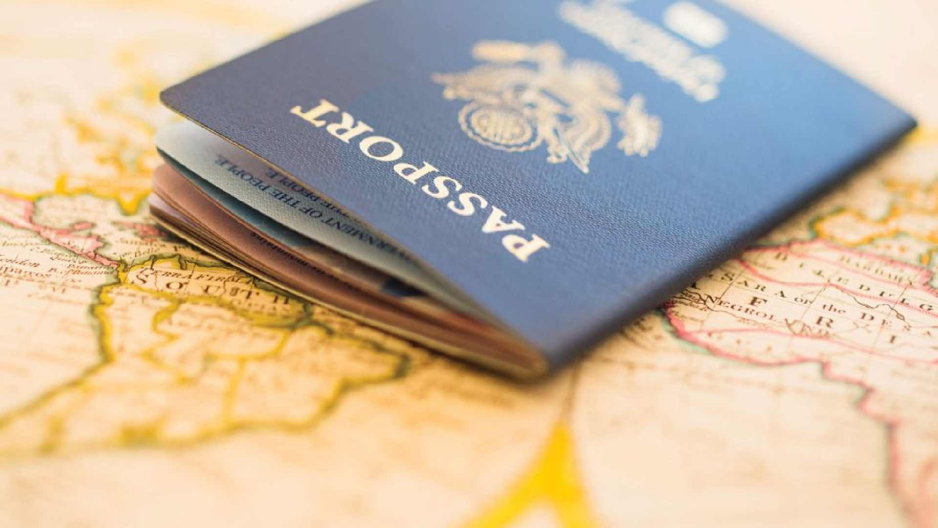 UAE 3 months visit visa price