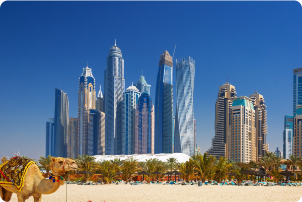 Business Setup in Sharjah Media City Free Zone