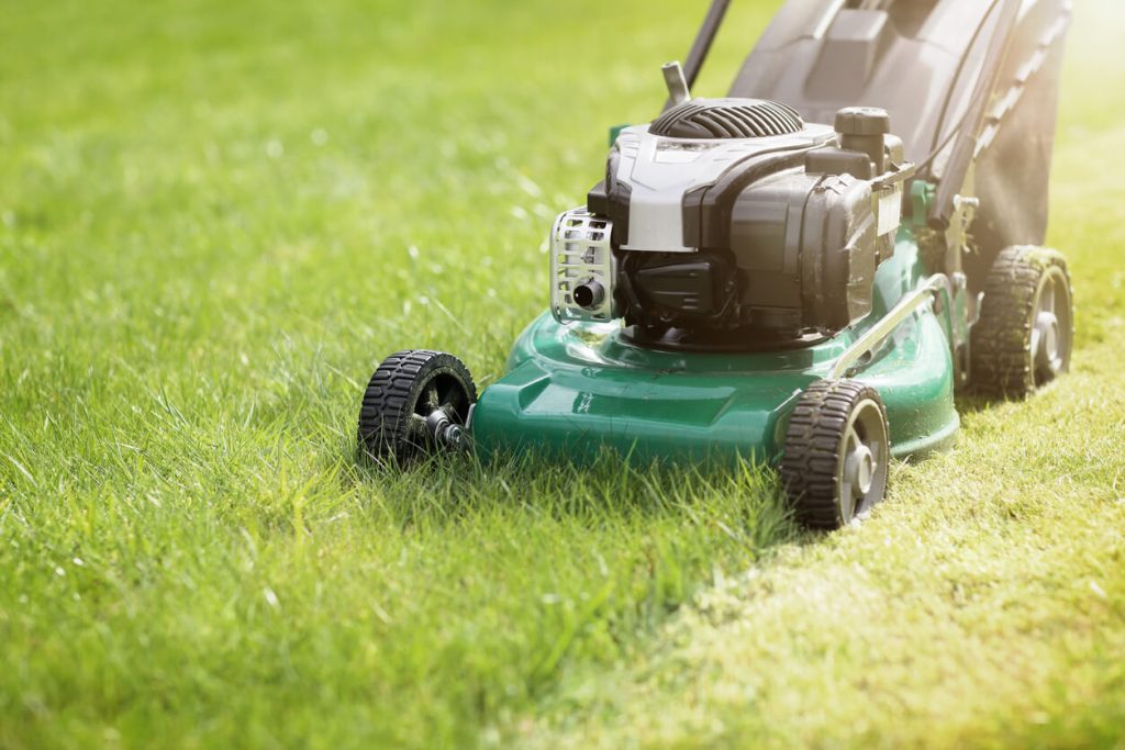 Gardening services